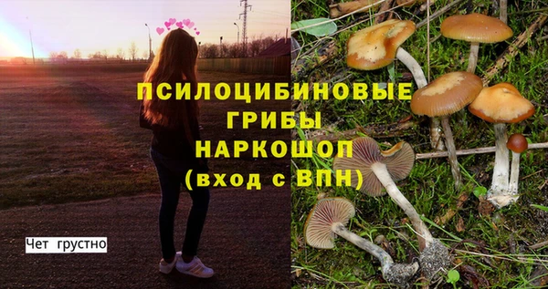 mdpv Алексин
