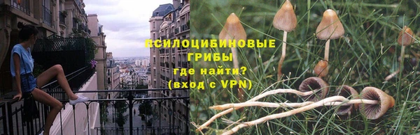 прущая мука Алексеевка