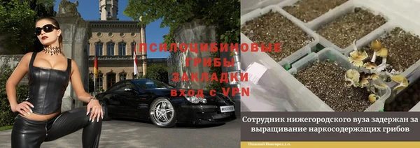 круглые Абаза
